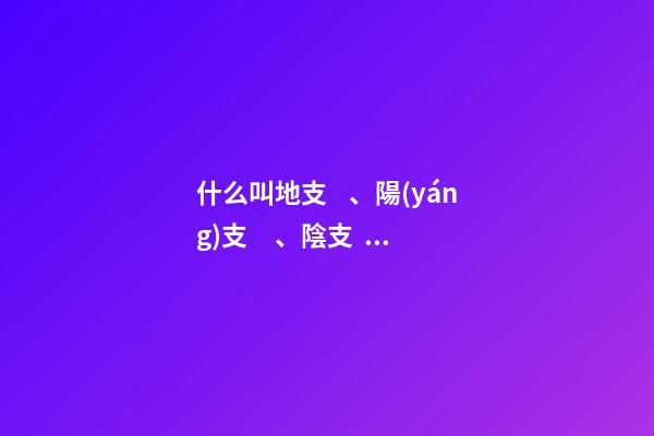 什么叫地支、陽(yáng)支、陰支？